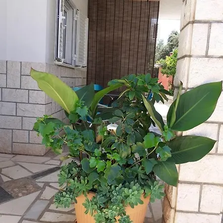 Apartman Ukic Rogoznica (Sibenik-Knin)