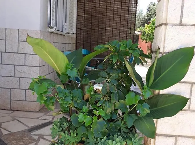 Appartement Ukic Rogoznica (Sibenik-Knin)